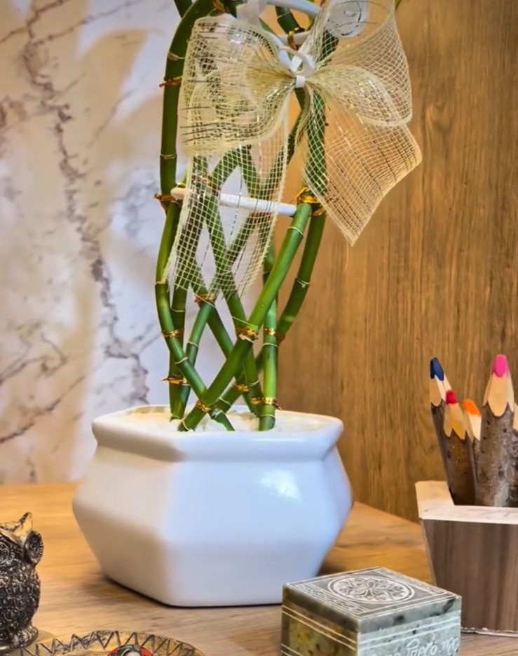 Decoração do studio
